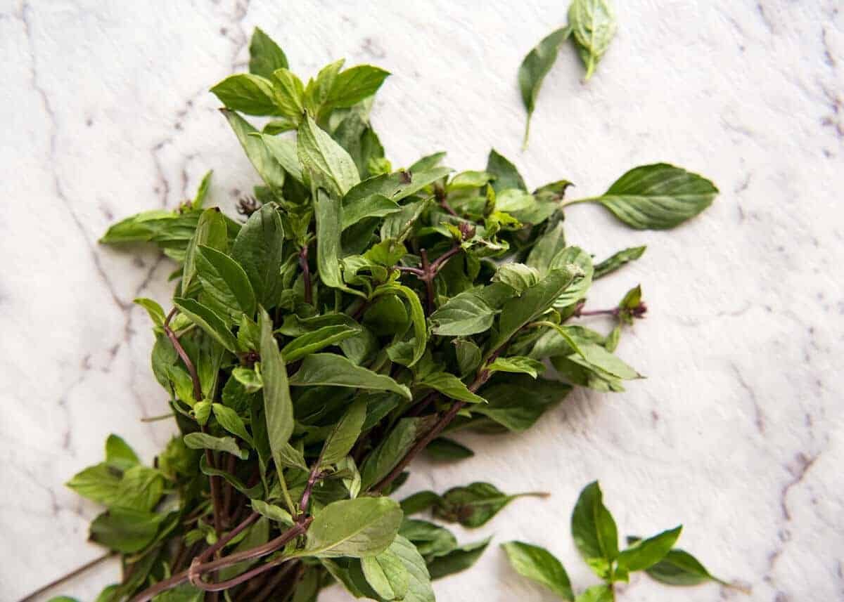 An authentic Thai Chilli Basil Chicken recipe, just like what you get from the best Thai restaurants! staging.recipetineats.com