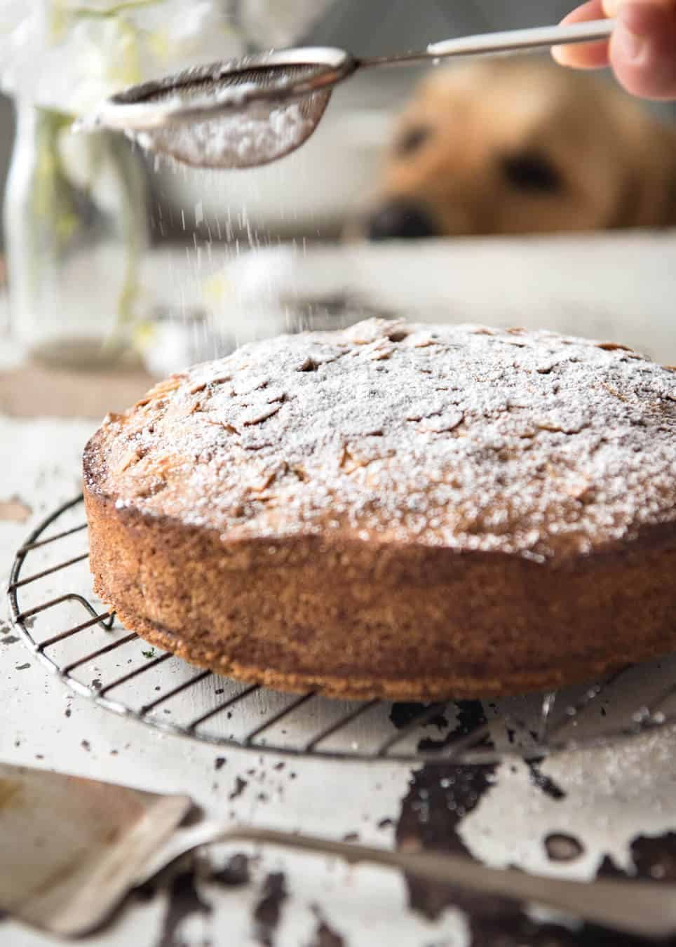 Hands down, the easiest and BEST Apple Cake recipe you will ever try! Made with fresh apples, no electric mixer required to make this beautiful moist cake. staging.recipetineats.com