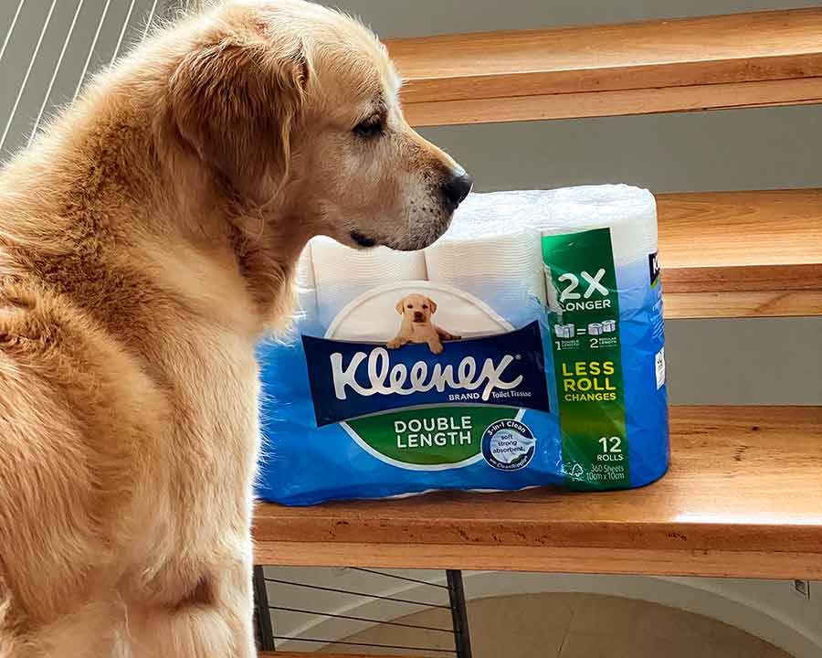 Dozer toilet paper