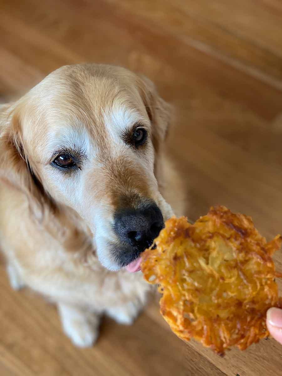 Dozer Potato Rosti