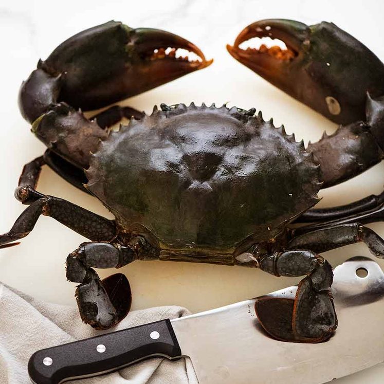 Singapore Chilli Crab - Mud Crab