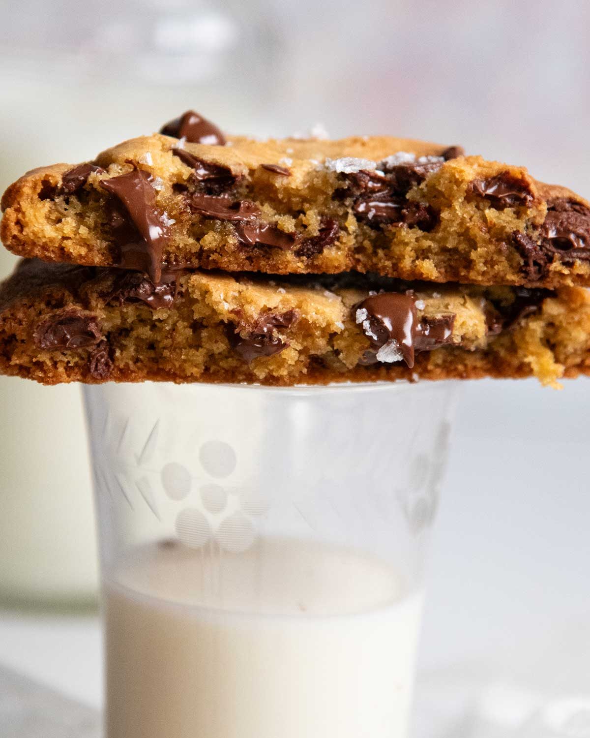 Single Serve Chocolate Chip Cookie